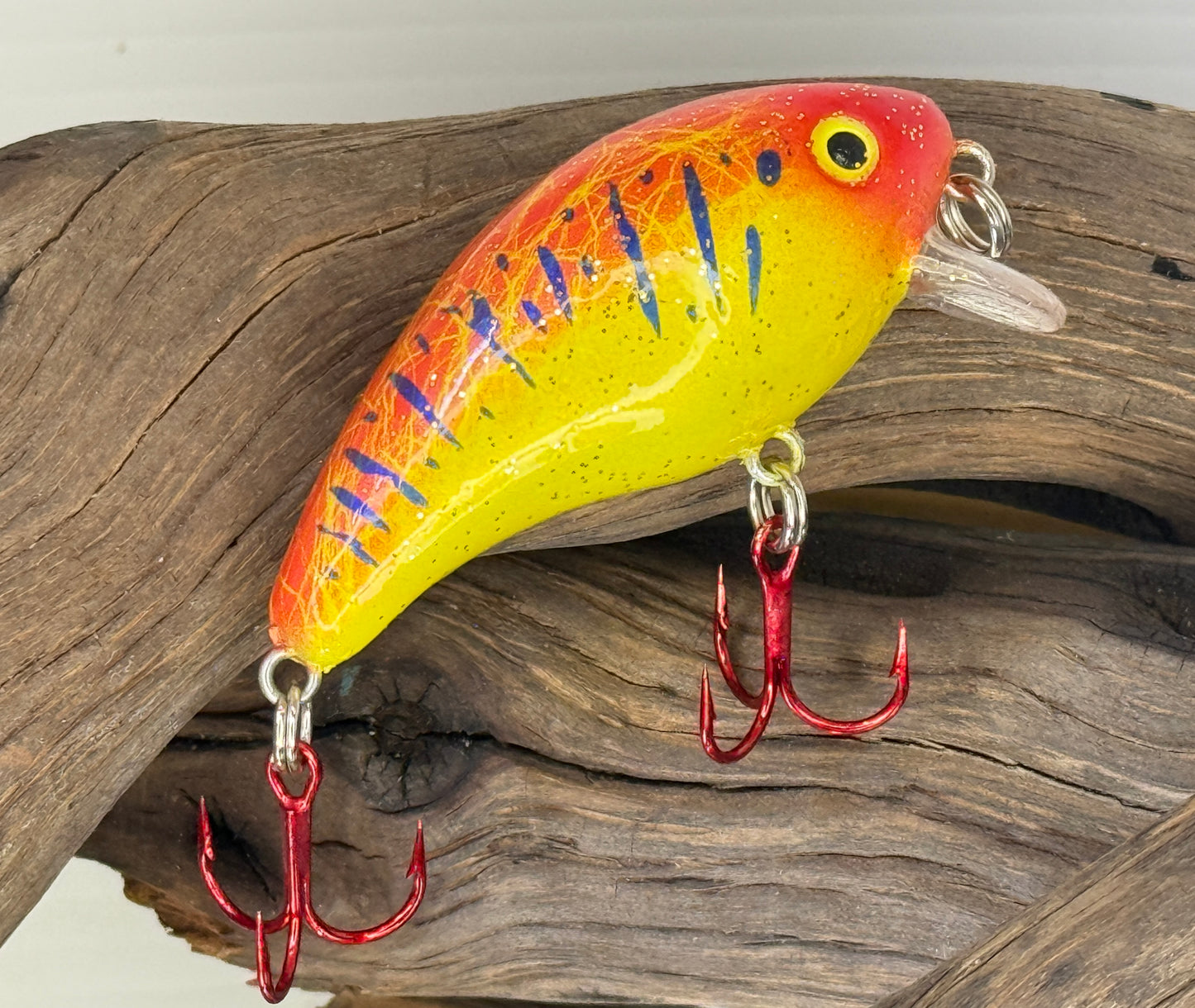 Baby Minus in Red/Yellow Electric Blue stripe