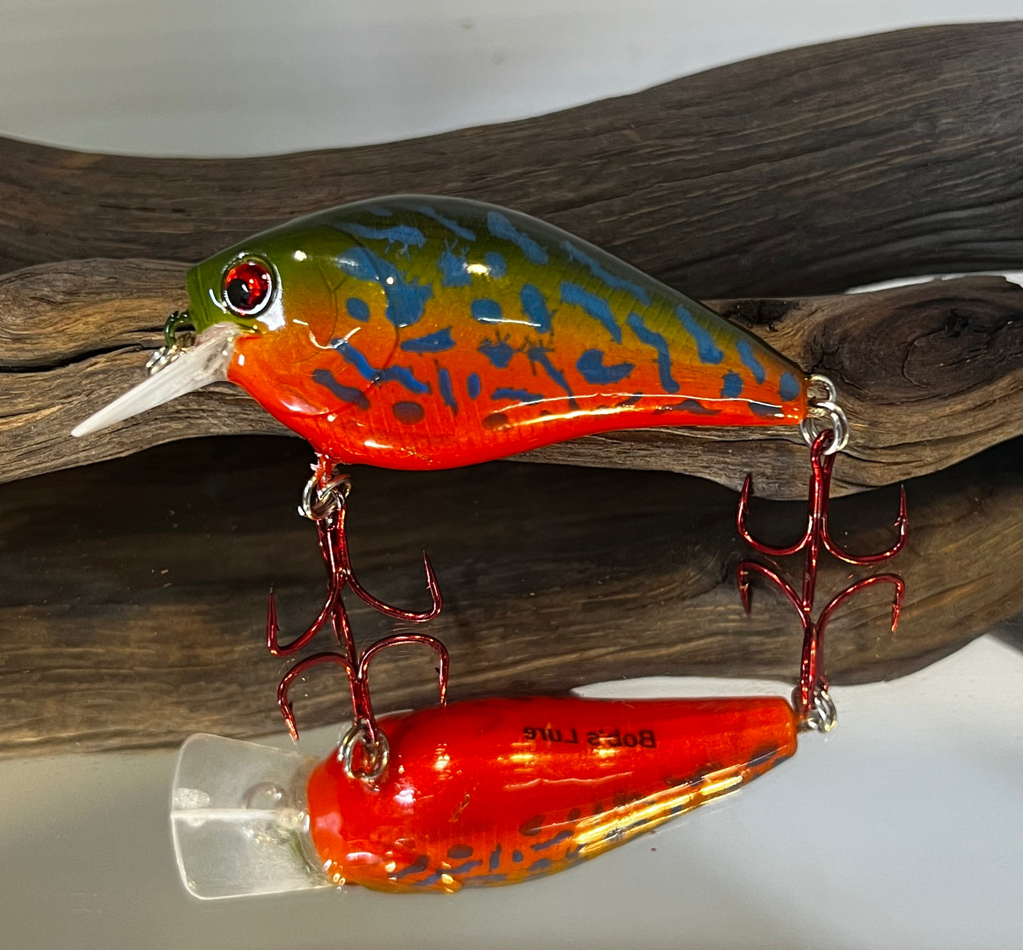 1.5 Square bill - Pumpkinseed