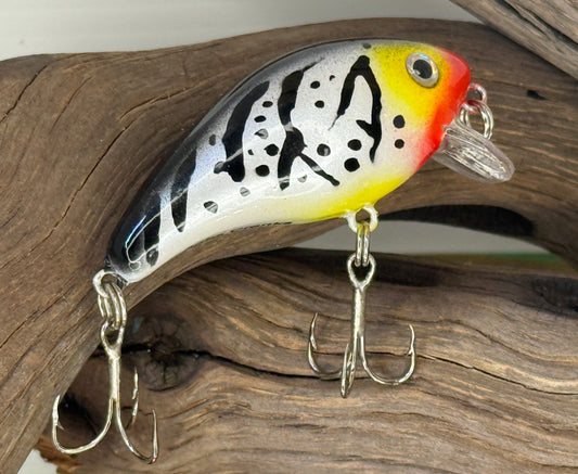 Baby -1 Calypso pattern